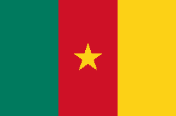 Drapeau Cameroun
