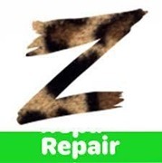 Z Repair